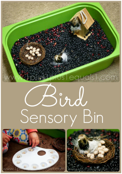 Bird Sensory Bin