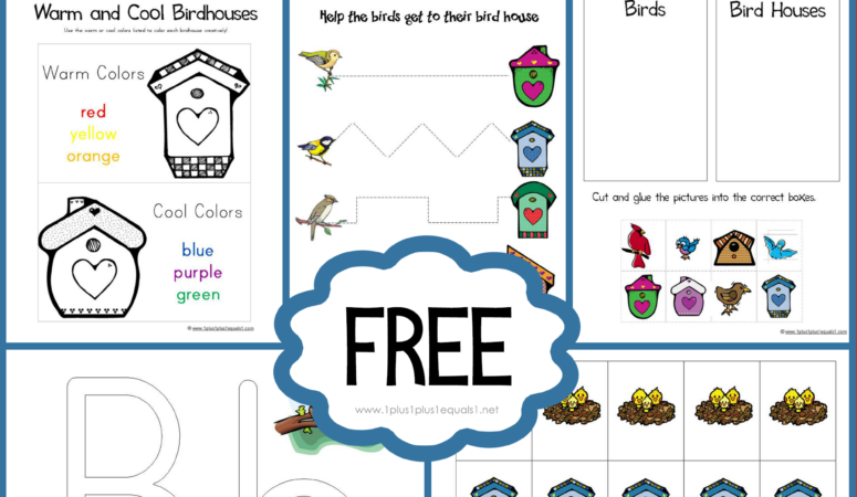 Birds Preschool Pack
