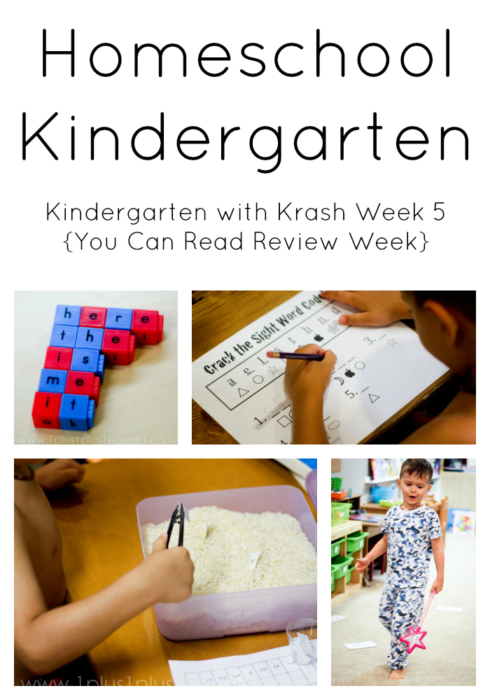 Kindergarten with Krash ~ Review