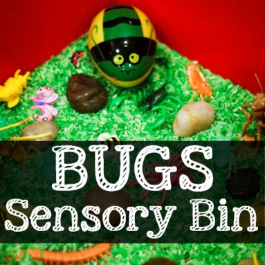 Bugs Sensory Bin