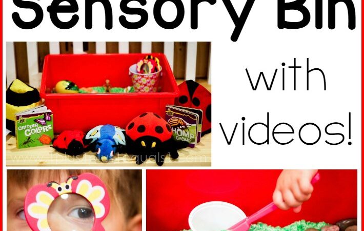 Behind the Scenes with a Sensory Bin