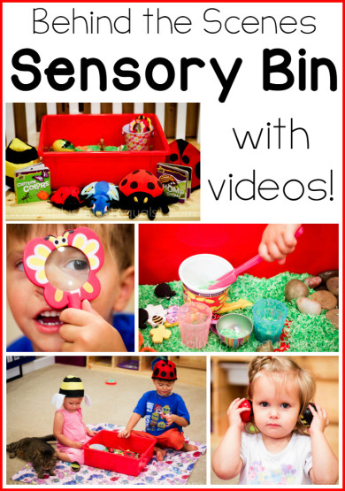 Bug Sensory Bin with Videos