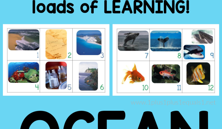 Ocean Life ~ August ~ Calendar Connections Cards