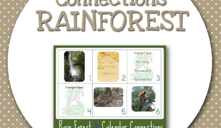 Calendar Connections ~ Rainforest Theme