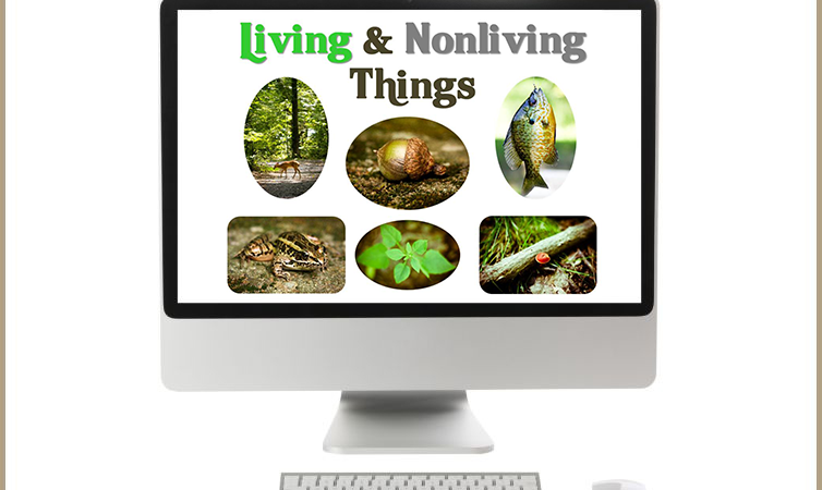 Living & Nonliving Things ~ PowerPoint Show