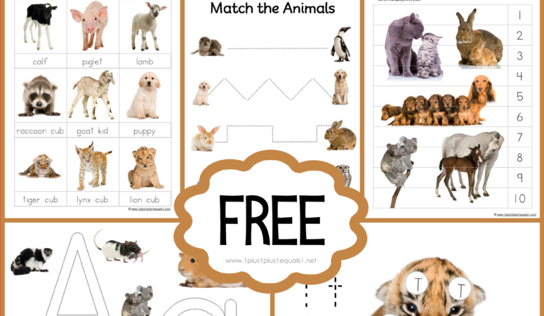 Baby Animals Printable Pack {free}