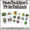 Montessori Printables 100