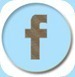 Facebook-Button-1plus1plus11922