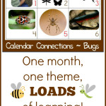 Bug Theme Calendar Connections