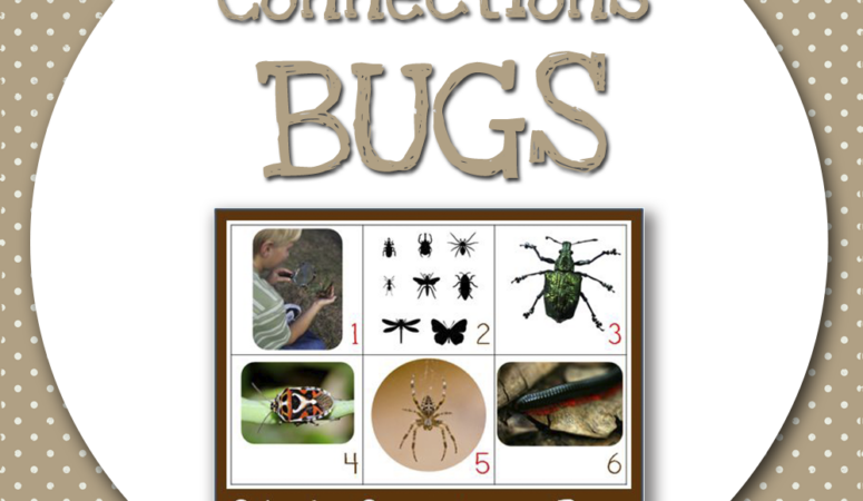 Calendar Connections ~ Bugs