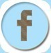 Facebook-Button-1plus1plus119221