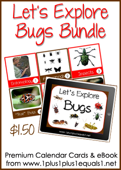 Let's Explore Bugs Button