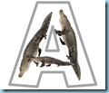 a alligator