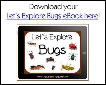 Let's Explore Bugs eBook