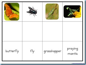 Montessori Match Up Bugs