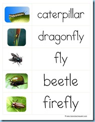 Word Cards Bugsc