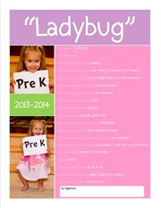 School Questionairre 2013 for Blog Ladybug