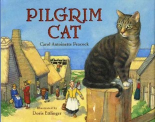 pilgrim-cat