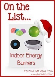 Favorite-Gift-Idea-Indoor-Energy-Bur