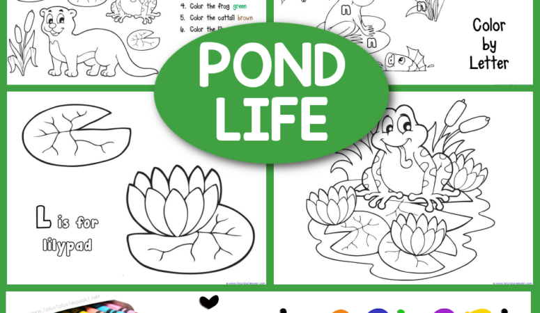 Pond Coloring Printables