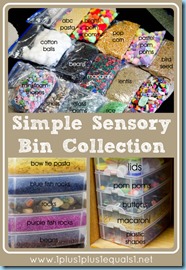 Simple Sensory Bin Collection