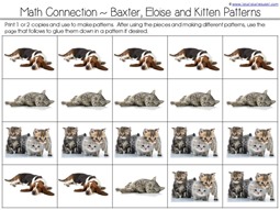 sorting dogs and cats