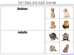 Sorting Adult and Baby Animals