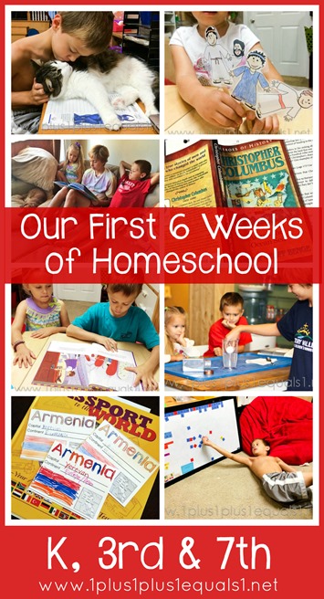 Monthly Homeschool Wrap Up K, 3rd and 7th Grade