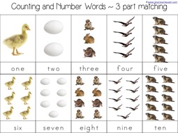 Number Word 3 Part Cards