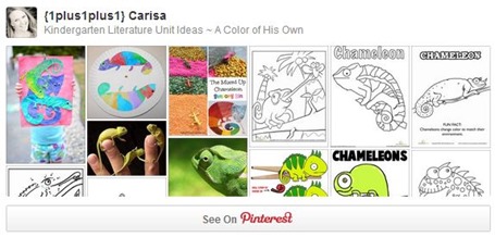 Chameleon Pinterest Board