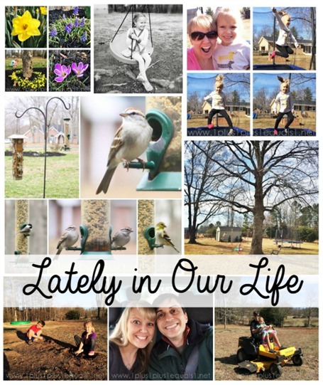 Lately in our Life March 2015