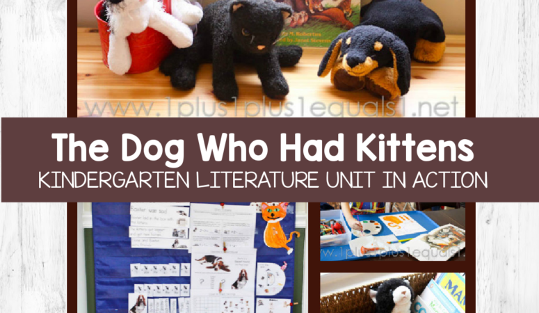 The Dog Who Had Kittens ~ Kindergarten Literature Unit in Action