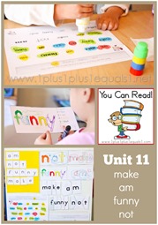 You Can Read Sight Words Unit 11