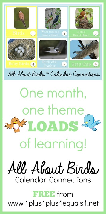 All About Birds Calendar Connections Printables