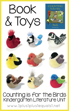 Bird Toys and Books