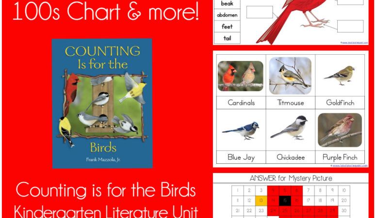 Counting is for the Birds Kindergarten Literature Unit Printables