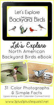 Backyard Birds eBook
