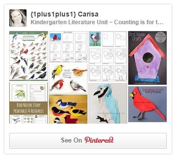 Bird Pinterest Board