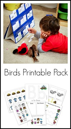 Birds Printable Pack