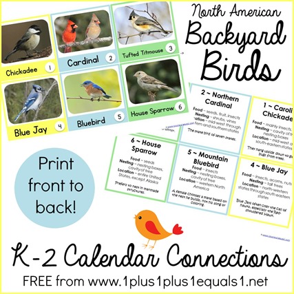 Calendar Connections Backyard Birds K-2