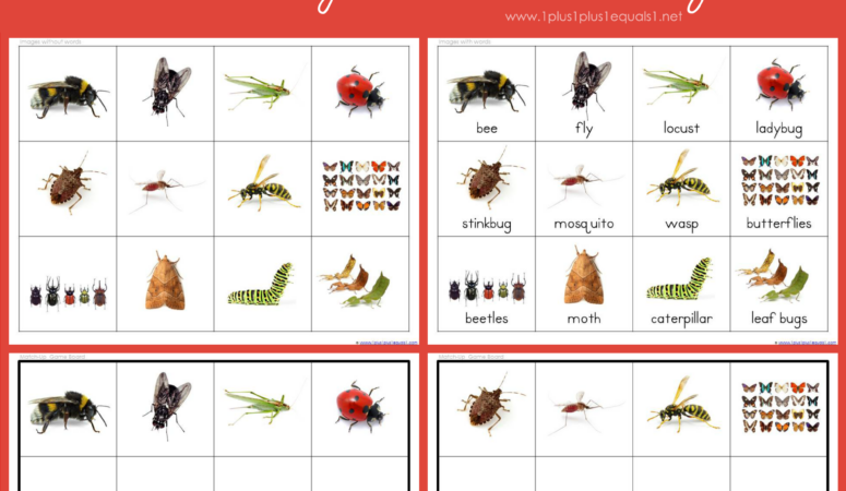 Crawly Creatures Memory and Match-Up Printables