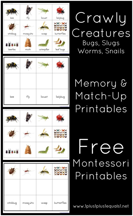 Crawly Creatures Memory and Match Up Printables