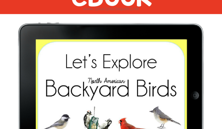 Let’s Explore Backyard Birds eBook