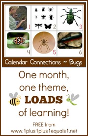 Bug Theme Calendar Connections