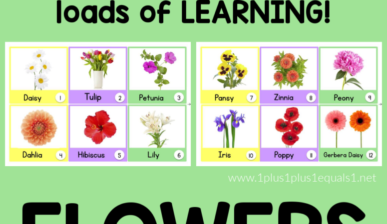 Flower Calendar Connections