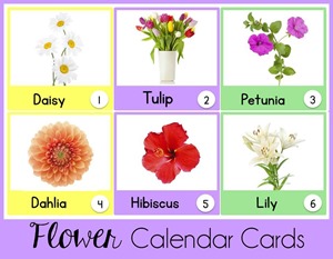 Flower Calendar Cards
