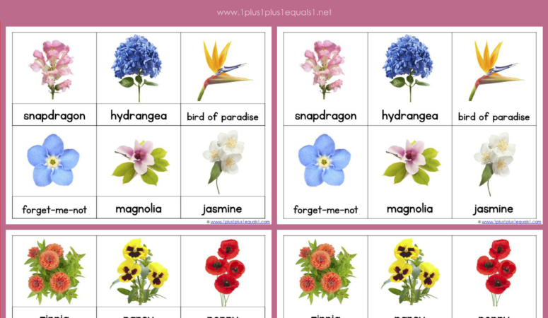 Flower Nomenclature ~ Montessori Printables