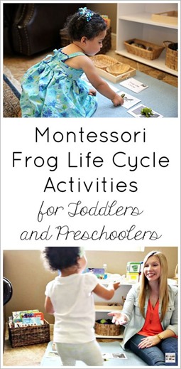 Living Montessori Now 2