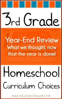 3rd Grade Homeschool Curriculum Choices Year-End Review