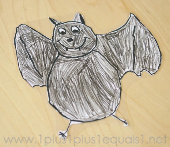 Bats Lapbook -8149